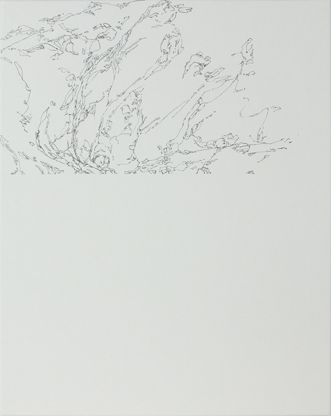 Traunstein/ Traunsee, Lenaustiege - Nicole Krenn